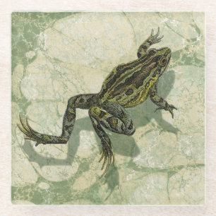 Dessous-de-verre En Verre Crapaud Swinning dans l'eau
