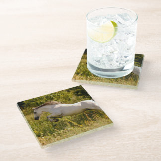 Dessous-de-verre En Verre Créez Votre Propre Photo Équestre De Cheval Person