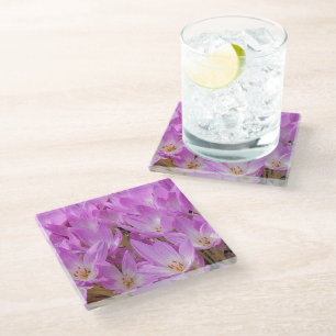 Dessous-de-verre En Verre Crocus d'automne rose fleurit Floral