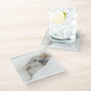Dessous-de-verre En Verre Cutest Baby Animals Baby Mute Swan