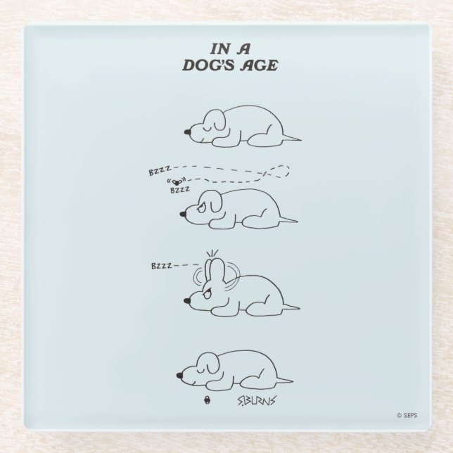 Dessous-de-verre En Verre Dans l'âge d'un chien (Devant)