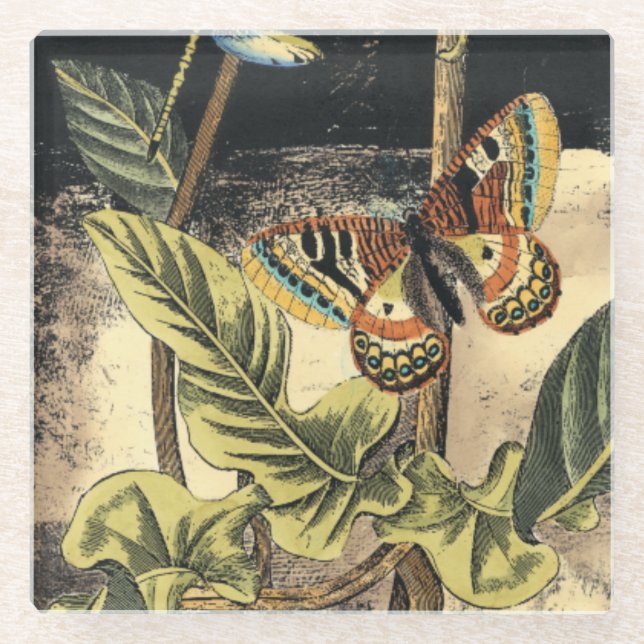 Dessous-de-verre En Verre Dark Nature Scene par Vision Studio (Devant)