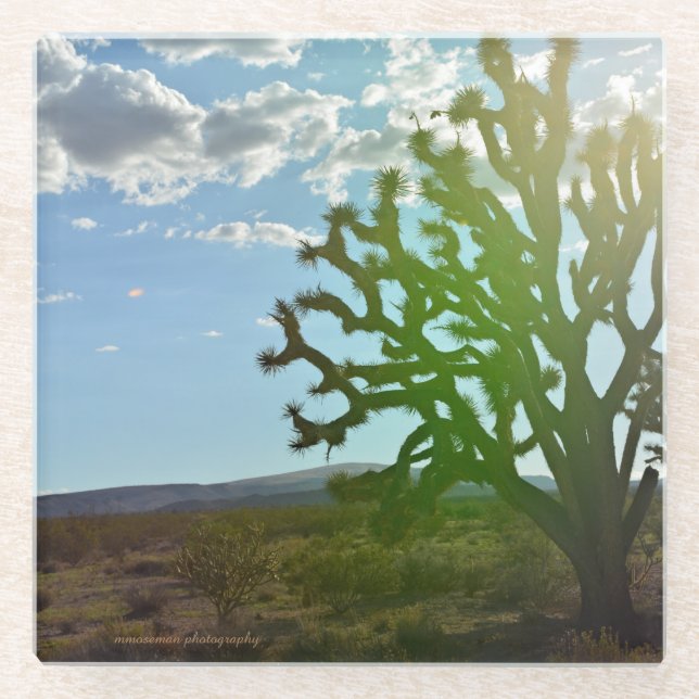 Dessous-de-verre En Verre Desert beauty (Devant)