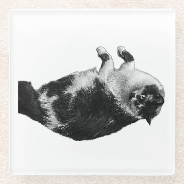 Dessous-de-verre En Verre Dessous de verre à talon large pour chats (Devant)