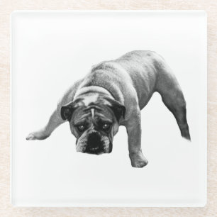 Dessous-de-verre En Verre Dessous de verre Bulldog à surveiller