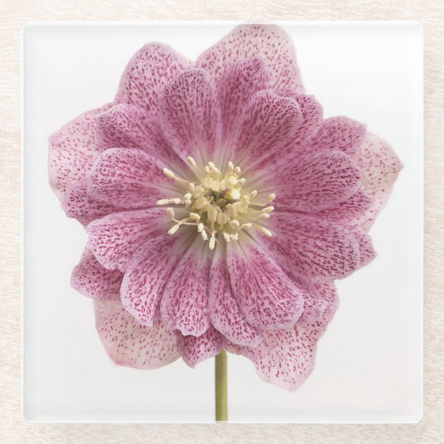 Dessous-de-verre En Verre Dessous de verre de verre à fleurs violettes (Devant)