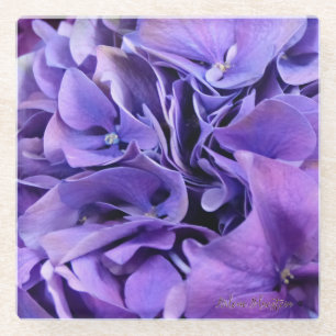 Dessous-de-verre En Verre Dessous de verre de verre LK d'hortensia pourpre