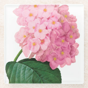 Dessous-de-verre En Verre Dessous de verre en verre à fleurs d'Hydrangea ros