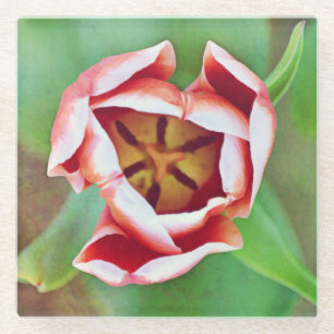 Dessous-de-verre En Verre Dessous de verre en verre d'art orangé Tulip