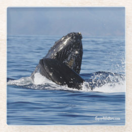 Dessous-de-verre En Verre Dessous de verre en verre de combat à bosse