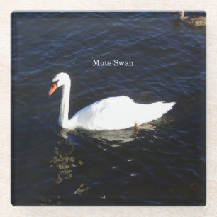Dessous-de-verre En Verre dessous de verre en verre de Mute Swan