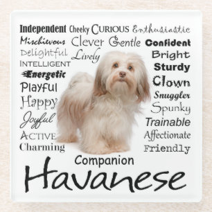Dessous-de-verre En Verre Dessous de verre en verre de traits de Havanese