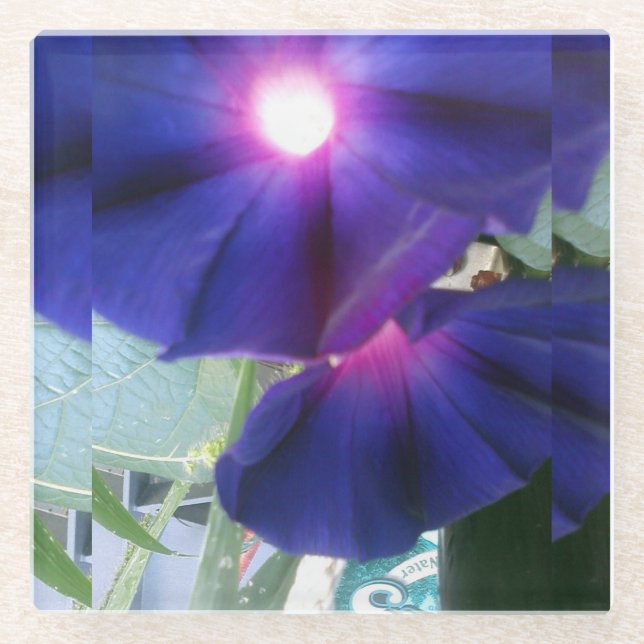 Dessous-de-verre En Verre Dessous de verre en verre floraux (Devant)