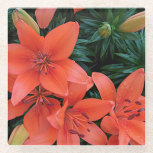 Dessous-de-verre En Verre Dessous de verre en verre Lily orange