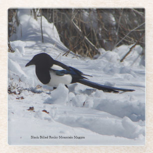 Dessous-de-verre En Verre Dessous de verre en verre Magpie Black Billed Rock