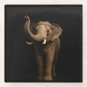 Dessous-de-verre En Verre Dessous de verre en verre noir 4 Luxe, Éléphant ma