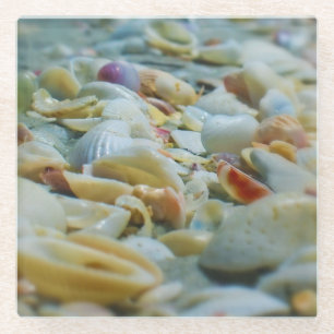 Dessous-de-verre En Verre Dessous de verre en verre Sanibel Seashells