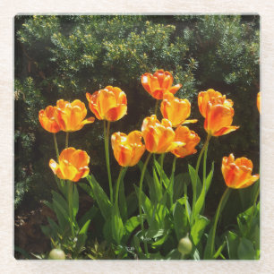 Dessous-de-verre En Verre Dessous de verre en verre Tulipes Jaunes