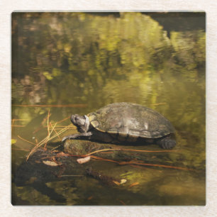 Dessous-de-verre En Verre Dessous de verre en verre - Turtle on Log in Pond