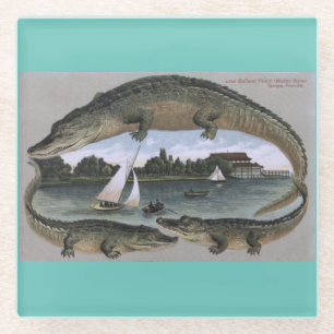 Dessous-de-verre En Verre dessous de verre Vintages Florida Gators. Alligato