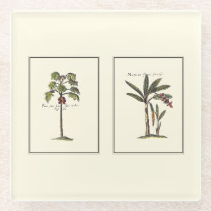 Dessous-de-verre En Verre Deux palmiers encadrés par miniature