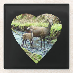 Dessous-de-verre En Verre Douce Biche Rouge Avec Faon Lien de la Forêt Natur