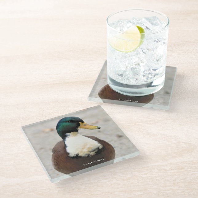 Dessous-de-verre En Verre Drôle domestique Mallard Duclair Bibbed Odd Duck (Incliné)