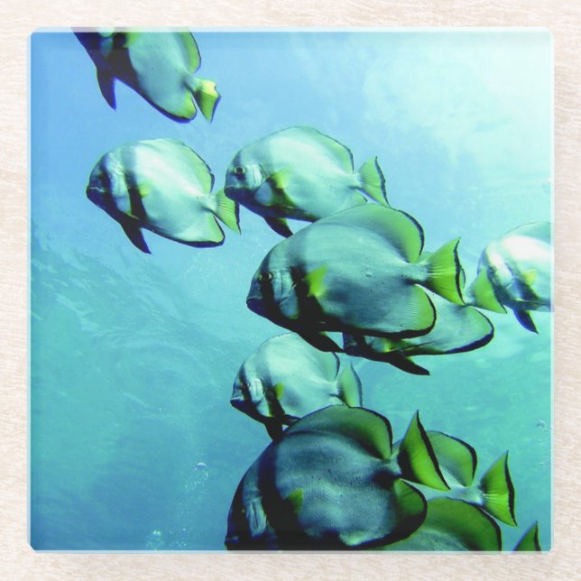 Dessous-de-verre En Verre Eau claire et limpide (Devant)