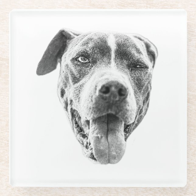 Dessous-de-verre En Verre Echo Canine Canine Chiline (Devant)
