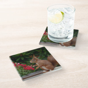 Dessous-de-verre En Verre Écureuil rouge et blanc avec Fleur rouge Bush