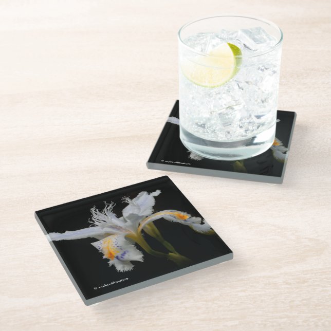Dessous-de-verre En Verre Elégant Shaga Floral Crested Japonais Iris (Incliné)