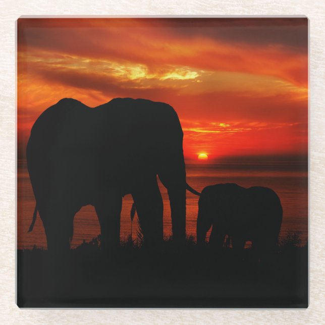 Dessous-de-verre En Verre Eléphants au coucher du soleil (Devant)