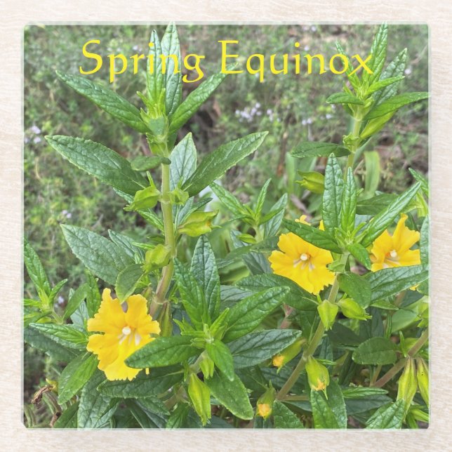 Dessous-de-verre En Verre Équinoxe du printemps (Devant)