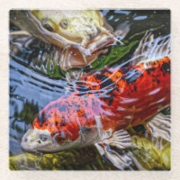 Étang japonais de poissons Koi