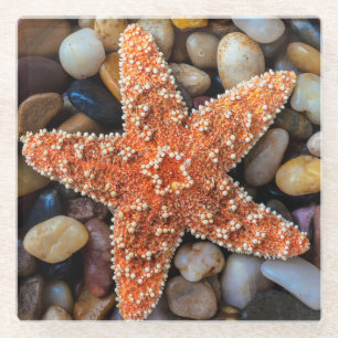 Dessous-de-verre En Verre Étoiles de mer sur des roches