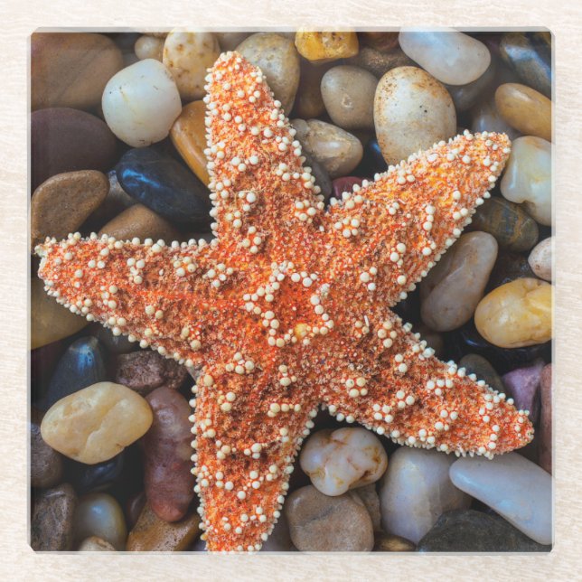 Dessous-de-verre En Verre Étoiles de mer sur des roches (Devant)
