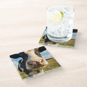 Dessous-de-verre En Verre Farms Holstein Cow Chewing