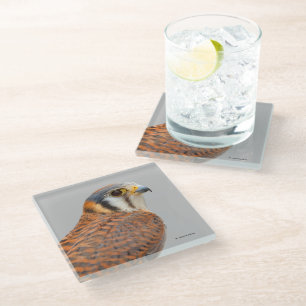 Dessous-de-verre En Verre Faucon étonnant de Kestrel Sparrowhawk américain