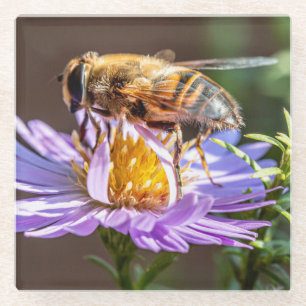 Dessous-de-verre En Verre Fermer une abeille sur une fleur violette