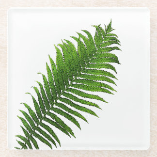 Dessous-de-verre En Verre Fern fronde