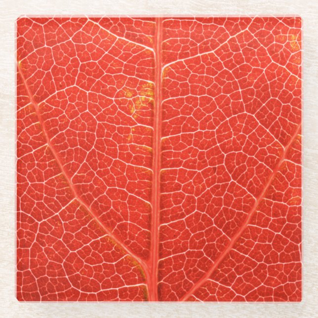 Dessous-de-verre En Verre Feuille automnale (Devant)