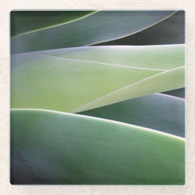 Dessous-de-verre En Verre Feuille d'agave (Devant)