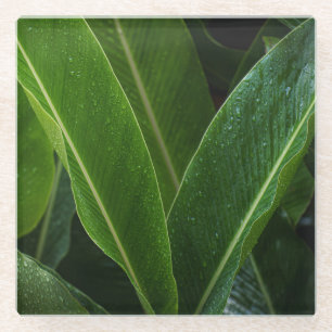 Dessous-de-verre En Verre Feuilles tropicales pluvieuses, botanique vert fon