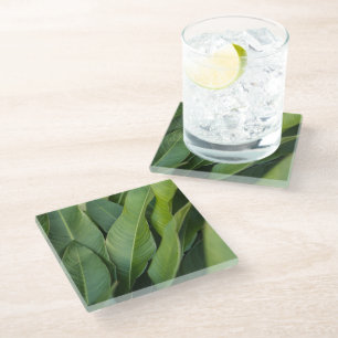 Dessous-de-verre En Verre Feuilles Vertes Tropicaux Douces Botanique