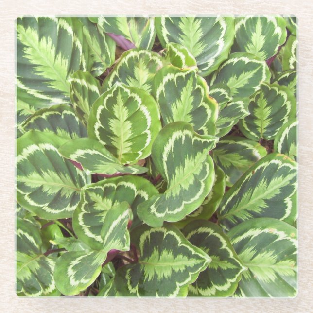 Dessous-de-verre En Verre Feuilles verts (Devant)