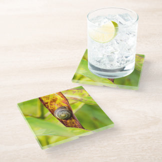 Dessous-de-verre En Verre fixation calme