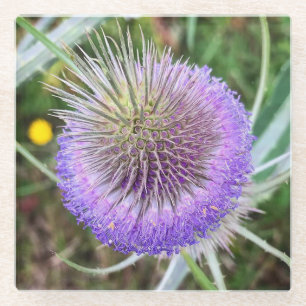 Dessous-de-verre En Verre Fleur de chardon