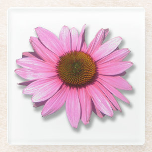Dessous-de-verre En Verre Fleur de Cone Rose sur Fond Blanc, Photo DIY