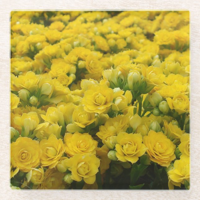 Dessous-de-verre En Verre Fleur Photo Bright Yellow Blooms Feminine Florale (Devant)