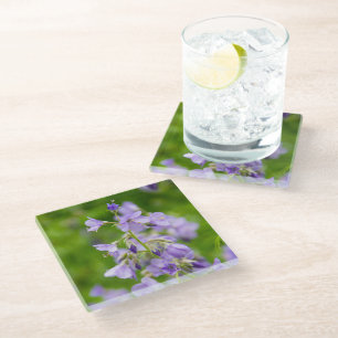 Dessous-de-verre En Verre Fleurs bleues délicates sur un champ vert au print